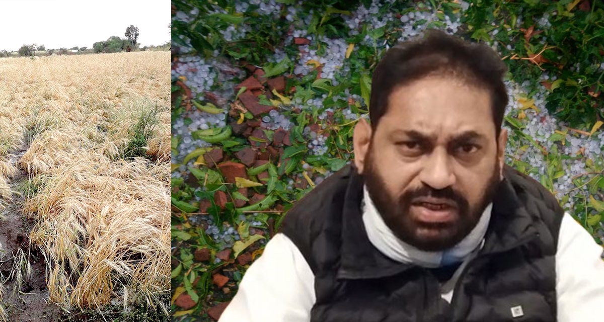 Immediate panchnama of hail-affected crops - Dr. Nitin Raut